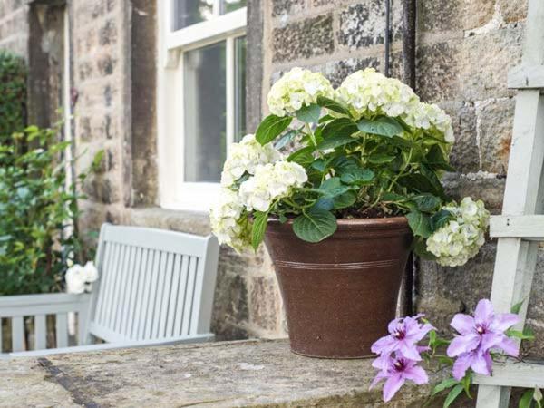 Beacon Cottage Ilkley Eksteriør bilde